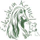eskashem afghan hound